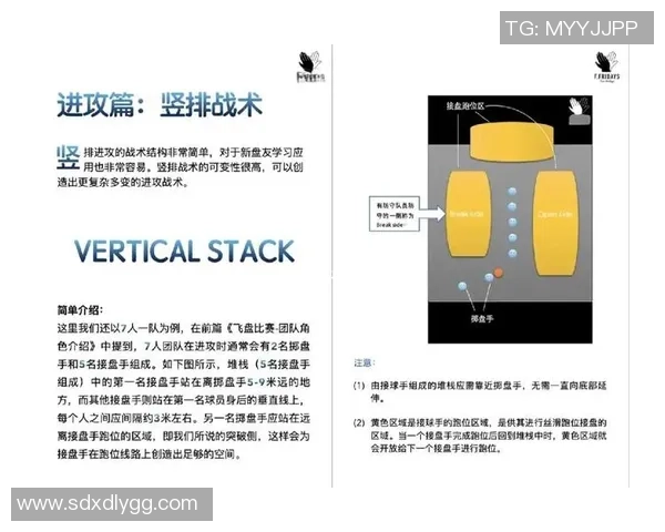 武汉飞盘队反击战术分析与比赛表现的得失总结